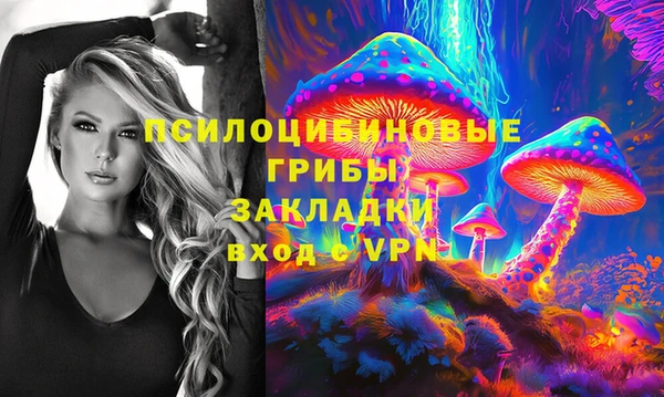 марки nbome Заводоуковск