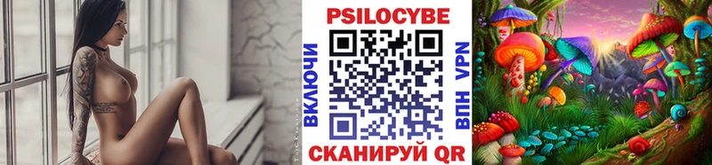 Псилоцибиновые грибы Psilocybe  как найти наркотики  Отрадный 