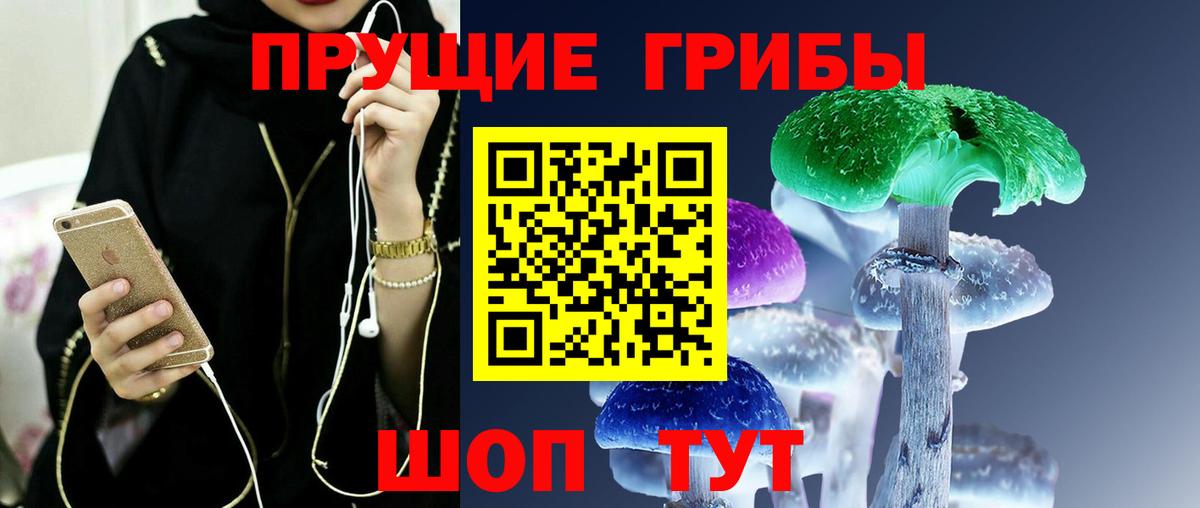 Галлюциногенные грибы прущие грибы  Вход с VPN  Отрадный 