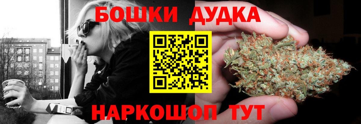 Каннабис семена  Конопля гибрид  Конопля Amnesia  Отрадный  Каннабис семена  Вход с VPN 